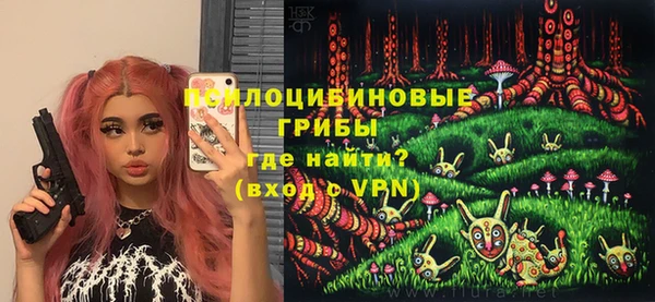 тгк Арсеньев