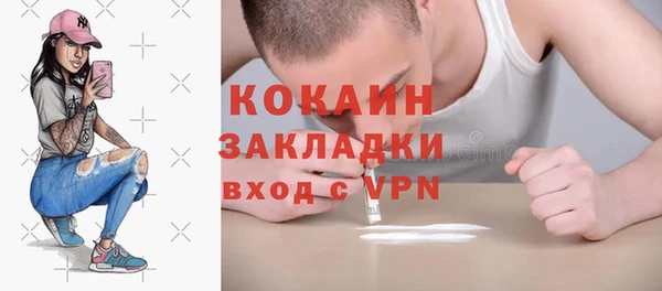 тгк Арсеньев