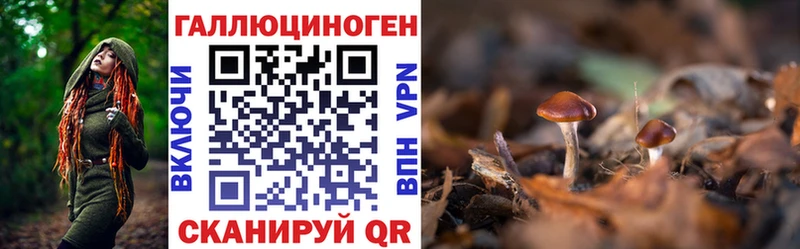 Галлюциногенные грибы Magic Shrooms  даркнет сайт  KRAKEN ТОР  Чкаловск 
